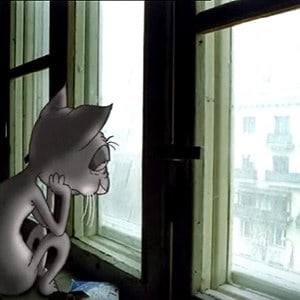 Песня «Человек и Кошка» группы «Ноль»  