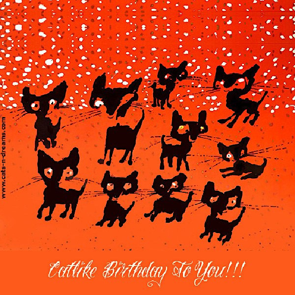 Catlike Birthday To You!!!