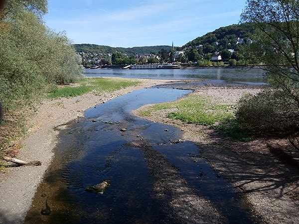 Вид с крытого моста на почти пересохшее из-за жары устье реки Ар, впадающей в Рейн