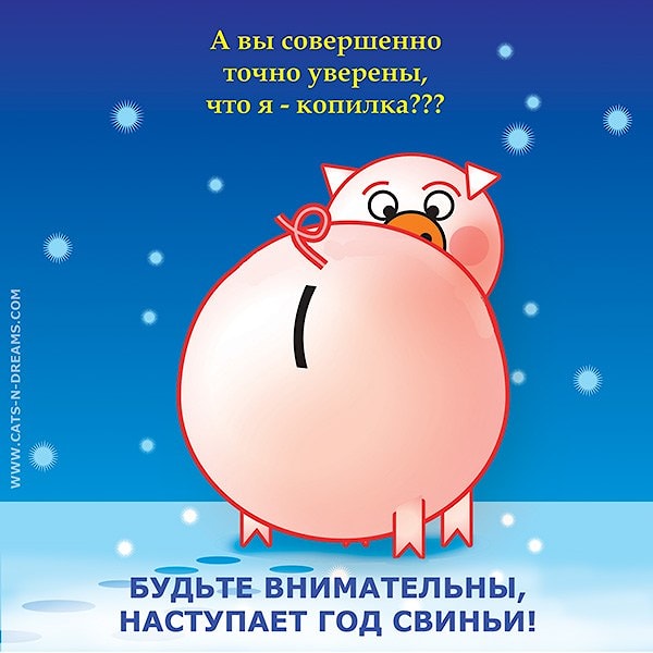 "Будьте внимательны, наступает год свиньи!" - скачивайте прикольную новогоднюю открытку - бесплатно