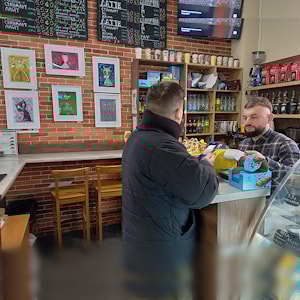 «Коты, солнце и немного любви»