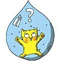 Как вывести кота на чистую воду?  
