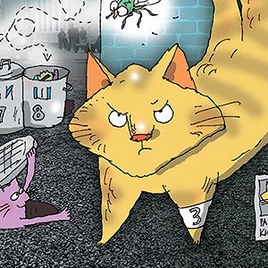 Мэйн-кун Яша, как зеркало путешествующих котов – в журнале OnAir  